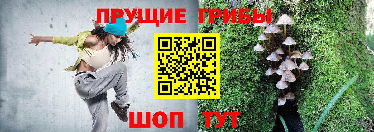 Псилоцибиновые грибы GOLDEN TEACHER  Вход с VPN  Владикавказ 
